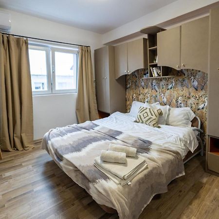 Cozy Studio Retreat - Quiet, Premium Stay Тимишоара Экстерьер фото